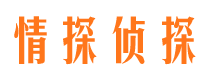 团风侦探社